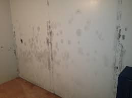 wall mold