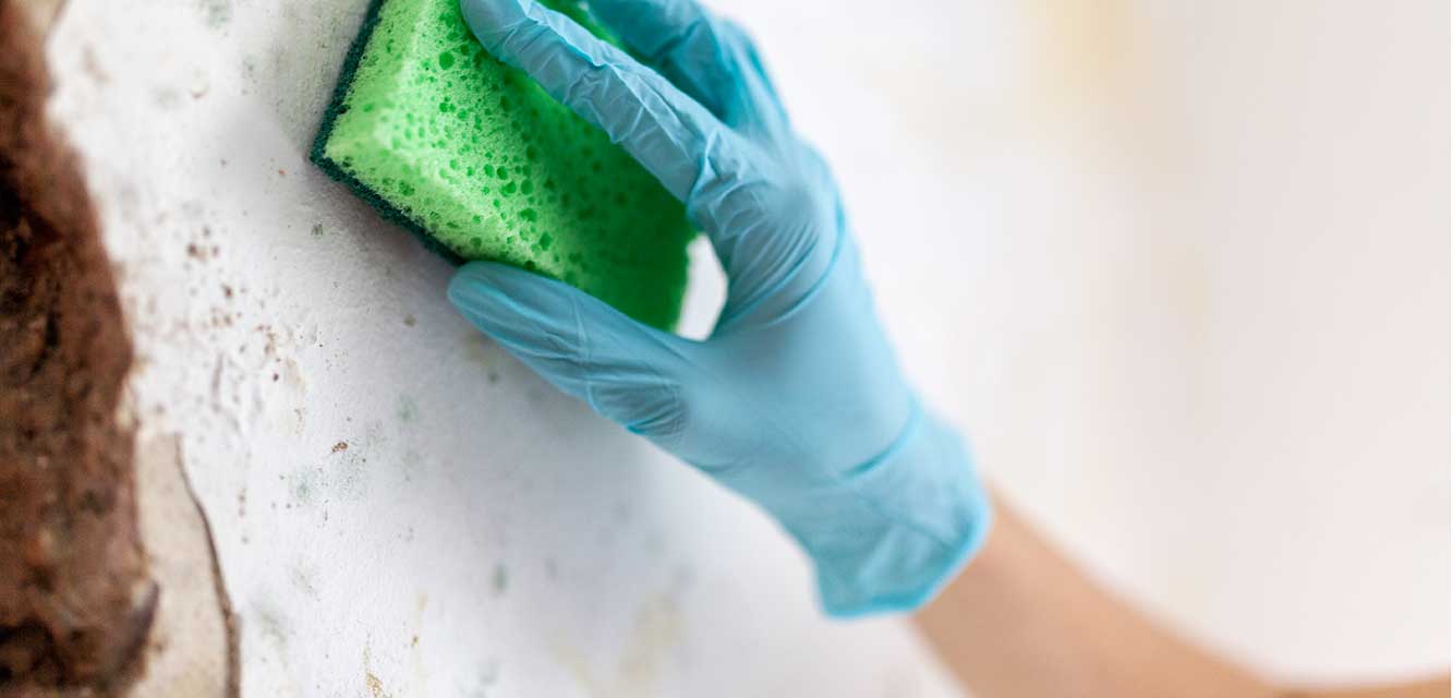 Dealing with the Threat of Mold After Flooding