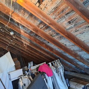 Mold damage restoration in Boston, MA