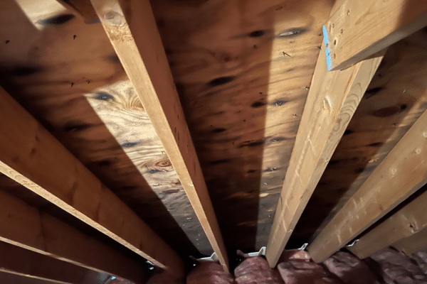 Common Causes of Mold Growth in Basements and Attics