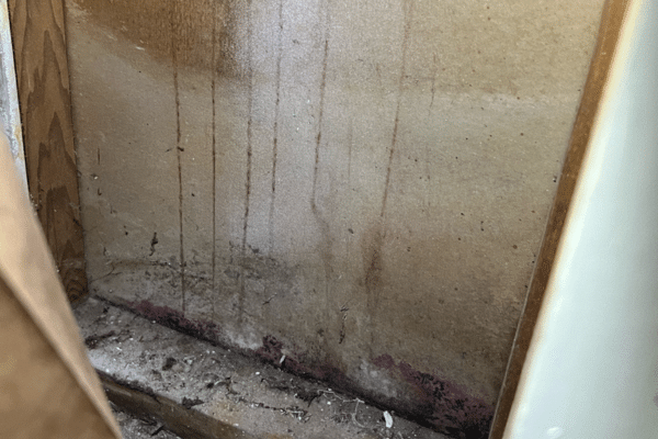 Mold damage restoration, Aspen Environmental, LLC in Boston, MA